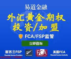 輕資產(chǎn)創(chuàng)業(yè)新風(fēng)尚 小額投資代理代辦業(yè)務(wù)如何落地